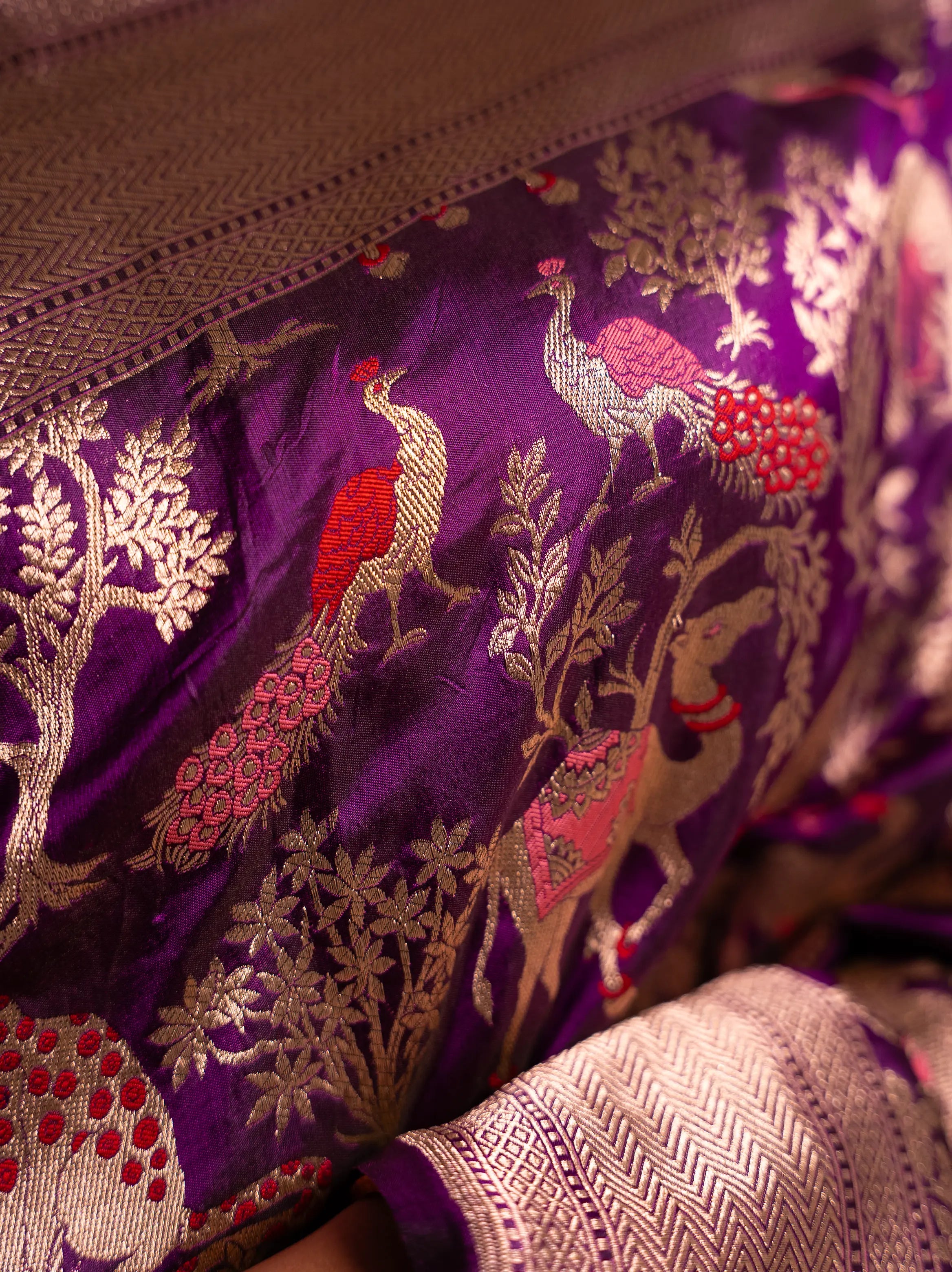 Amrapali – The Enchanting Allure House Of Banaras