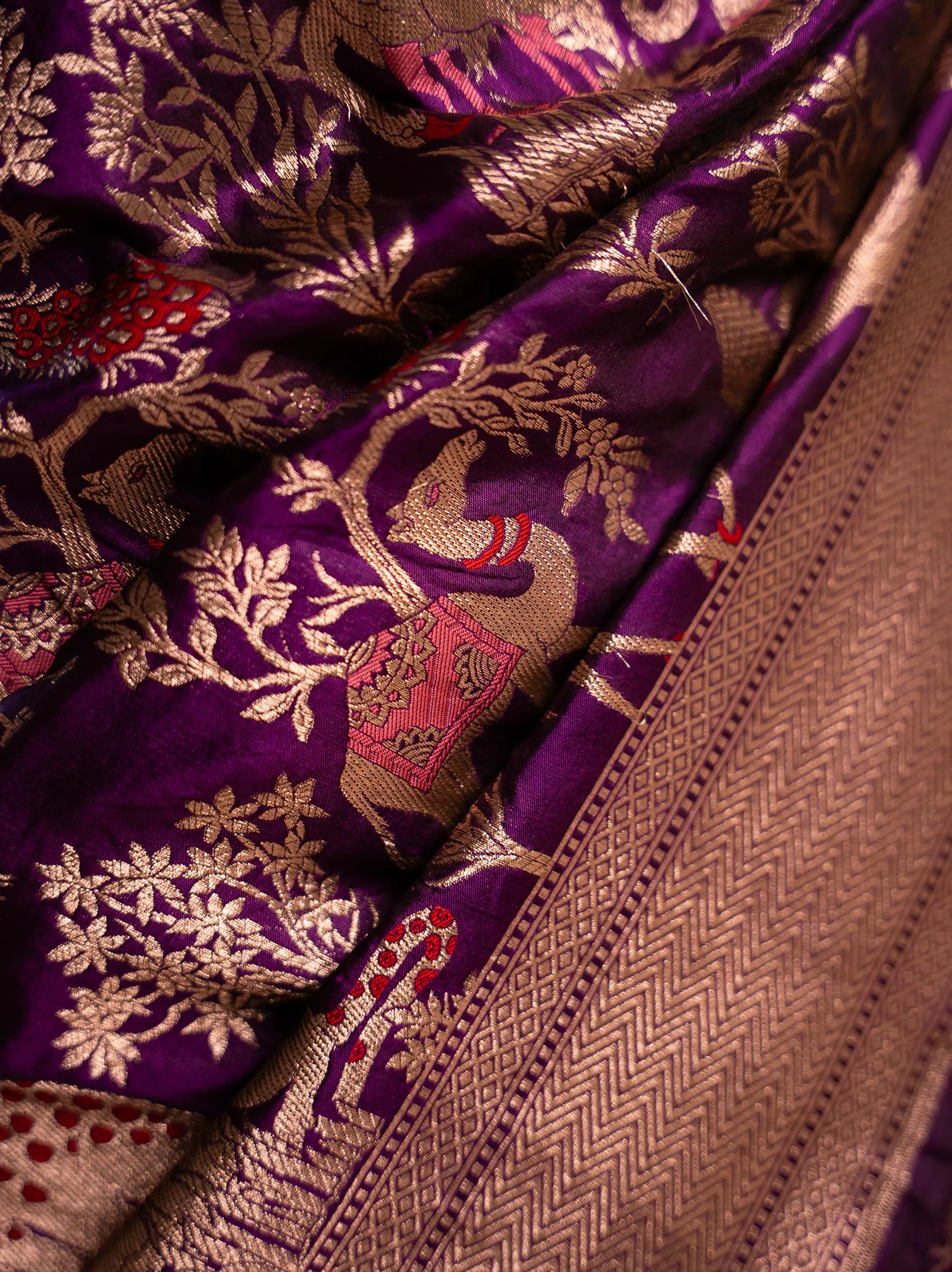 Amrapali – The Enchanting Allure House Of Banaras