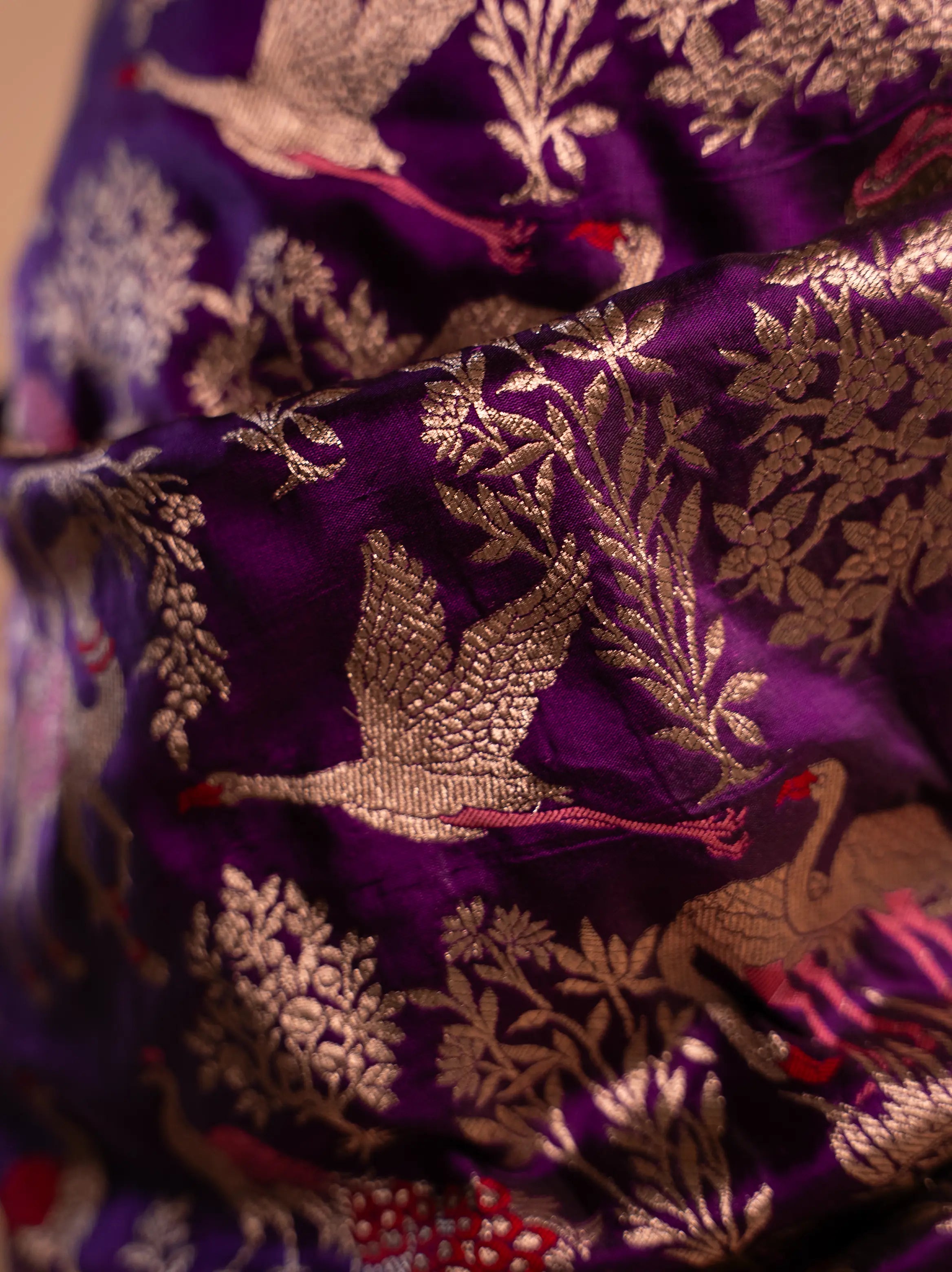 Amrapali – The Enchanting Allure House Of Banaras