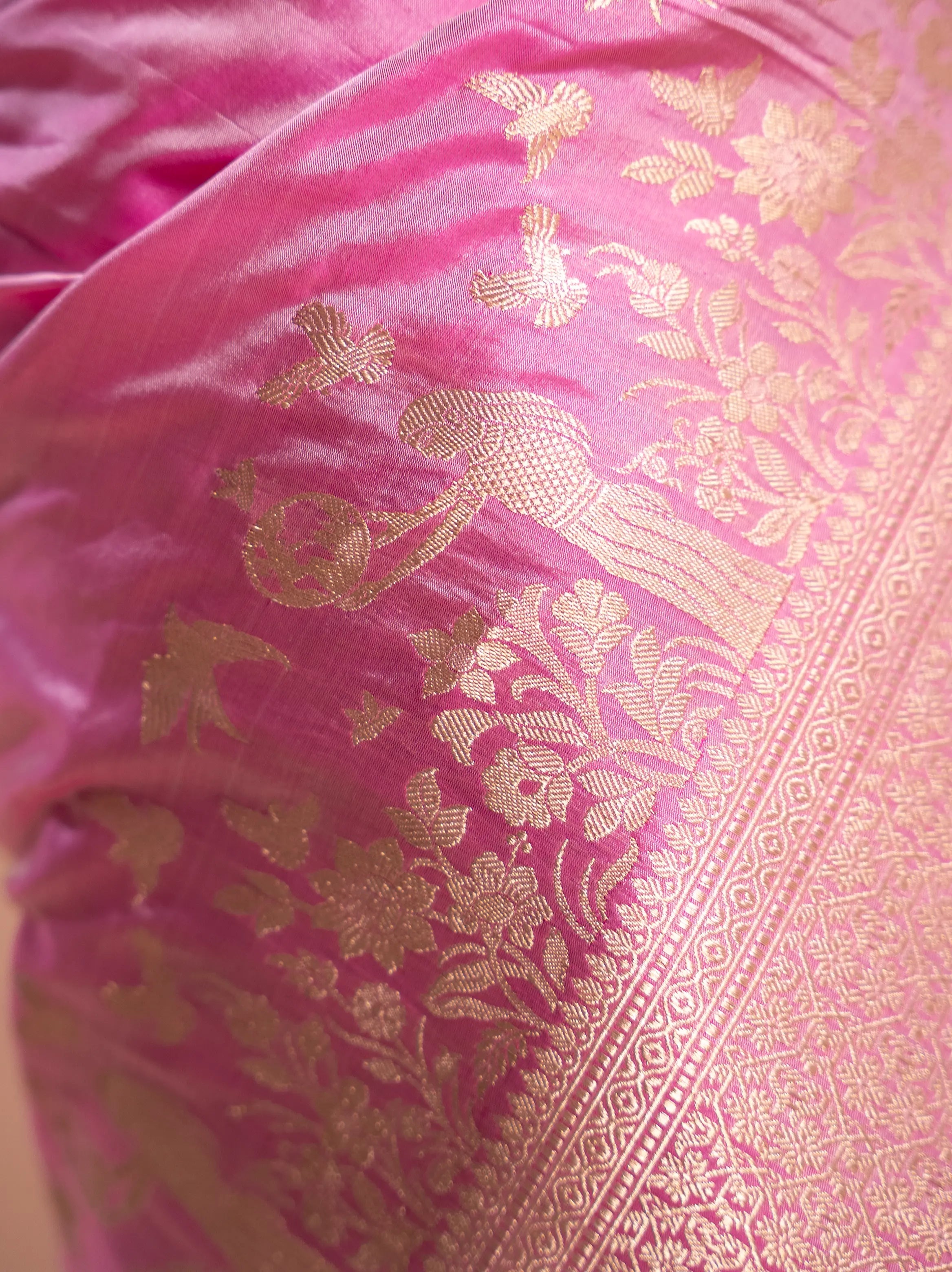 Ravisha - The Rose Whisper House Of Banaras