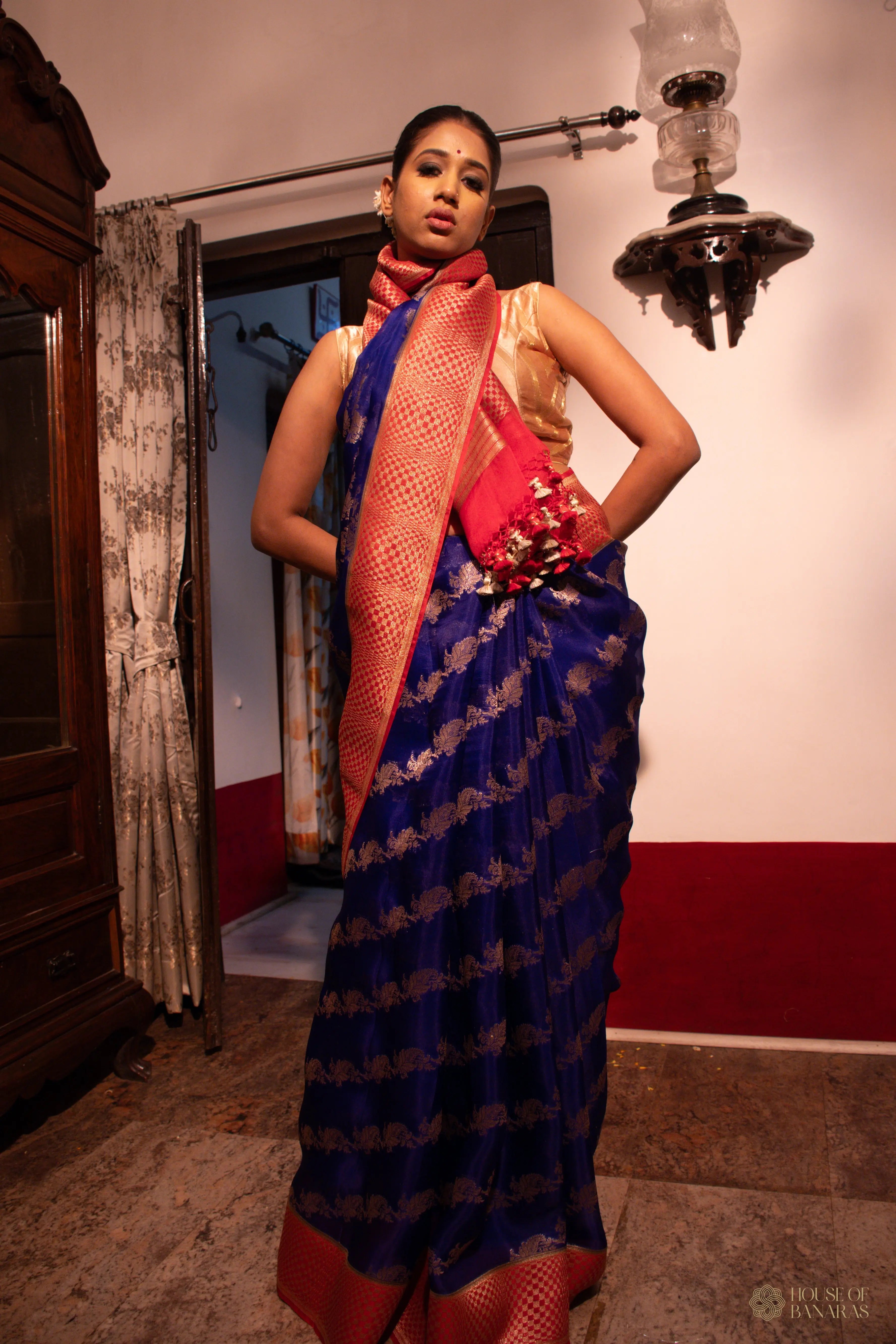 Avni - The Royal Azure House Of Banaras