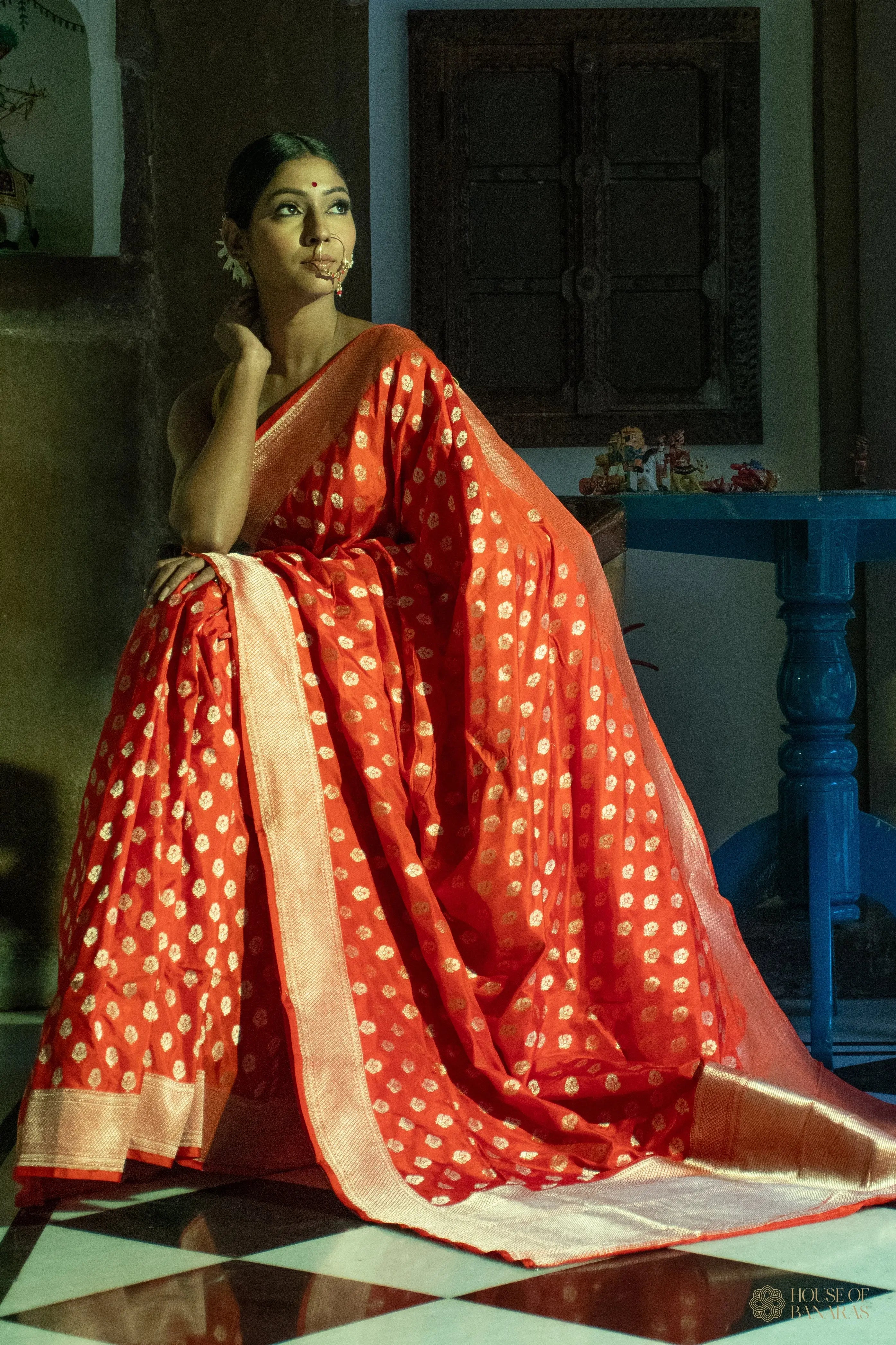 Amritvaani - The Scarlet Fire Symphony House Of Banaras