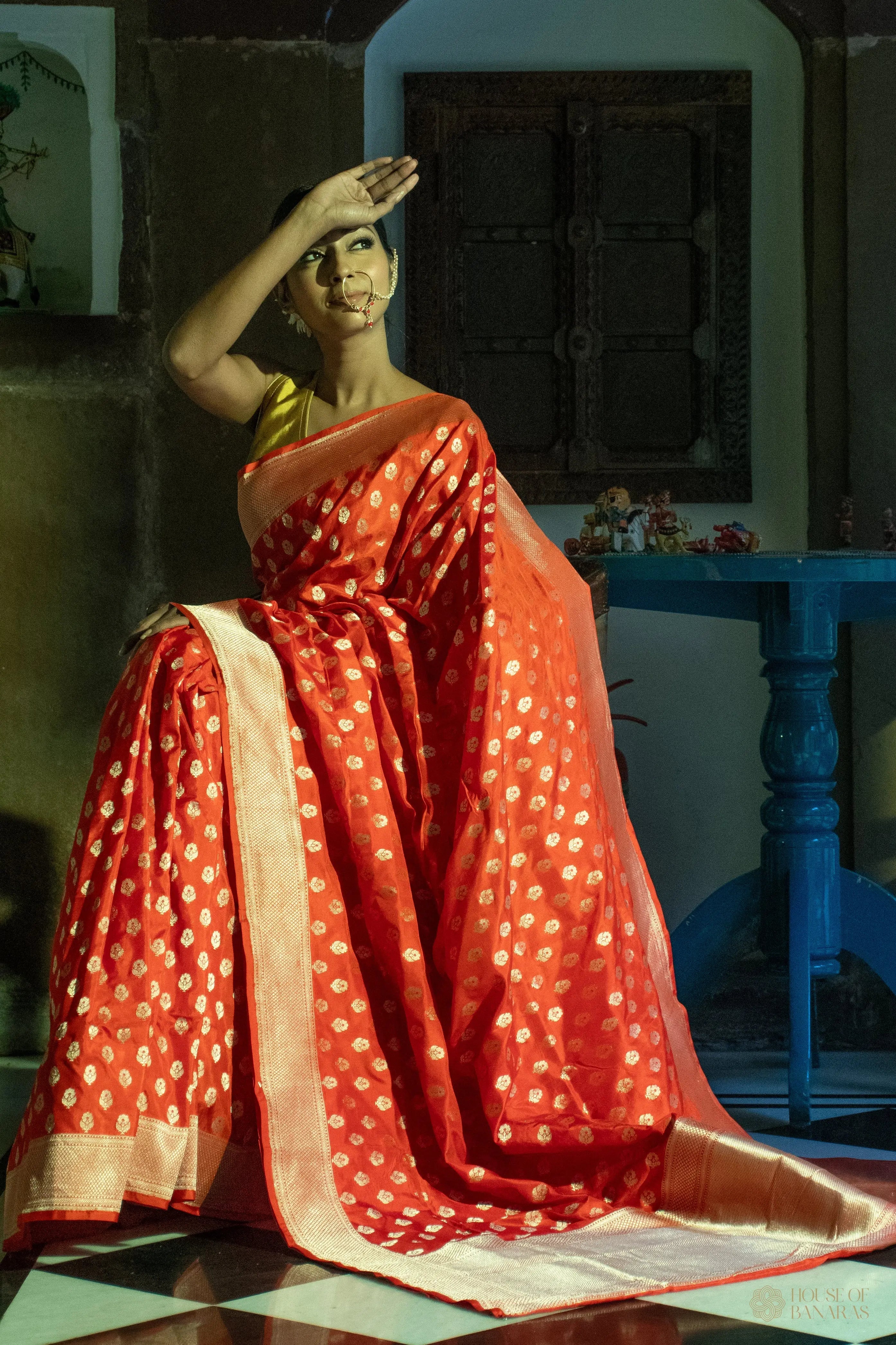 Amritvaani - The Scarlet Fire Symphony House Of Banaras