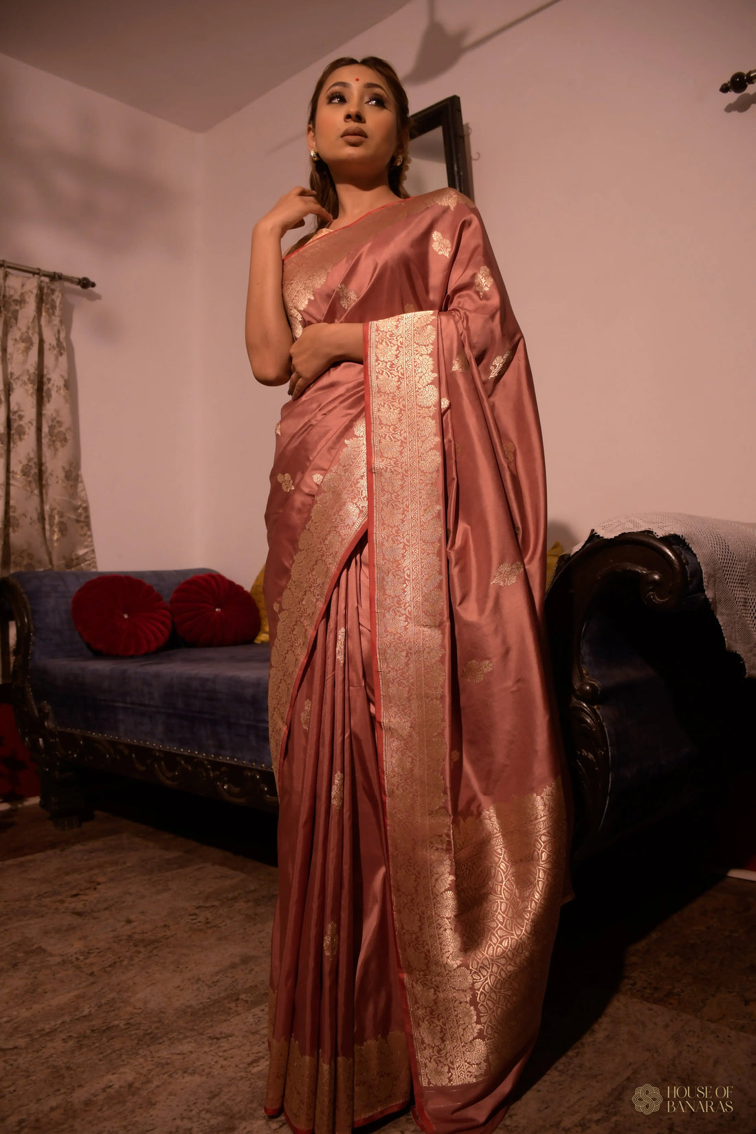 Aarohi - The Rose ColorRhapsody