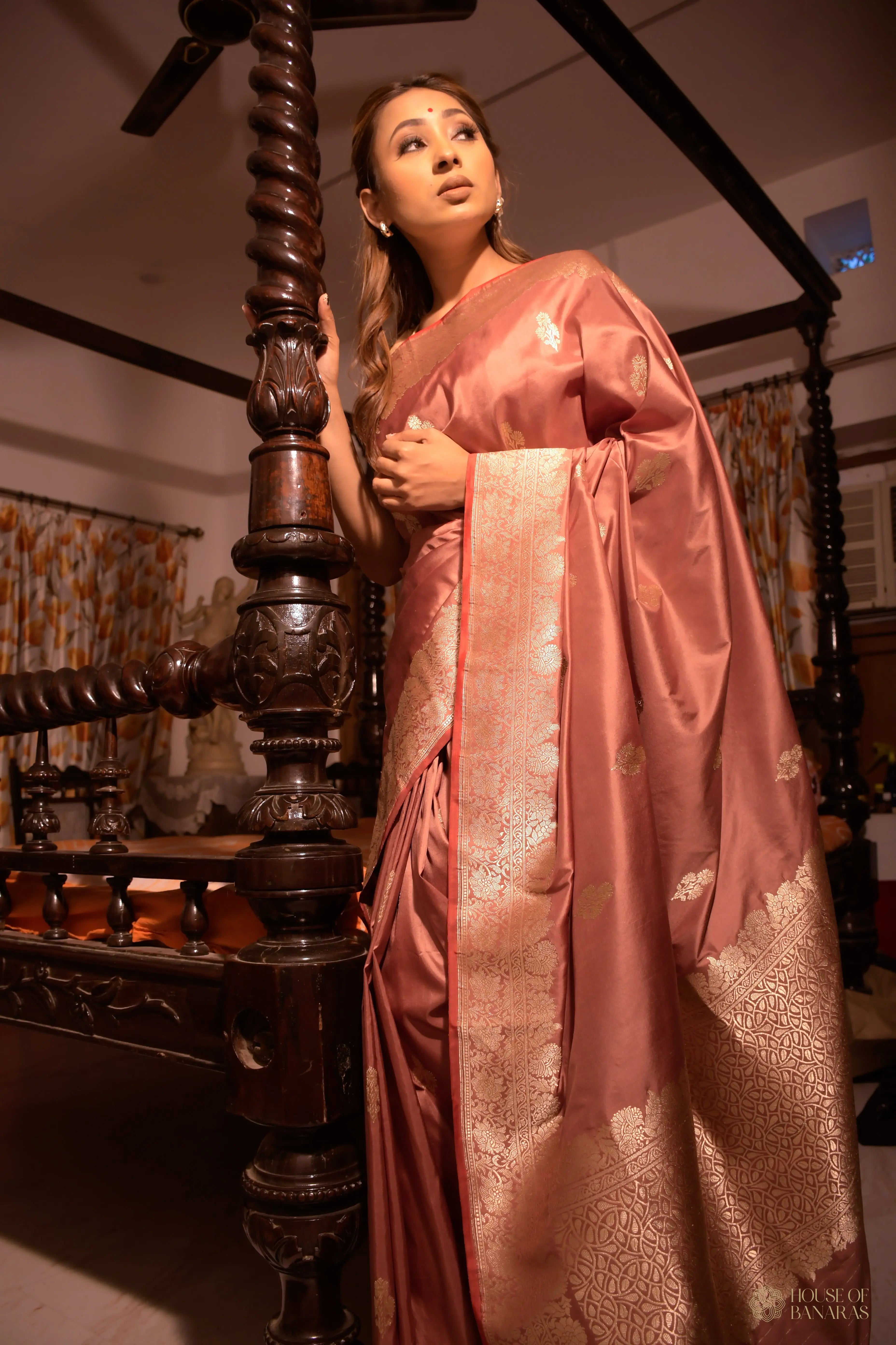 Aarohi - The Rose ColorRhapsody House Of Banaras