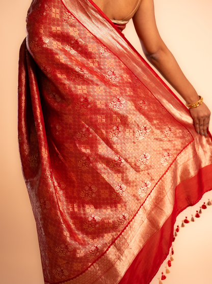 Chandrika – The Luminous Blossom