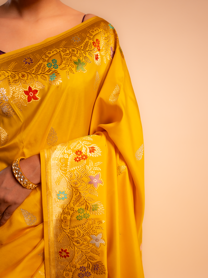 Sundara – The Radiant Allure