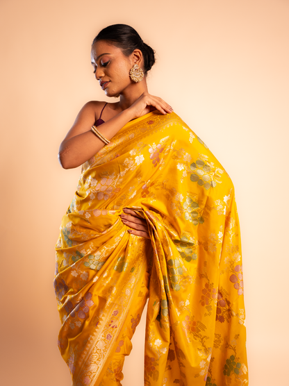 Chandrika – The Radiant Symphony