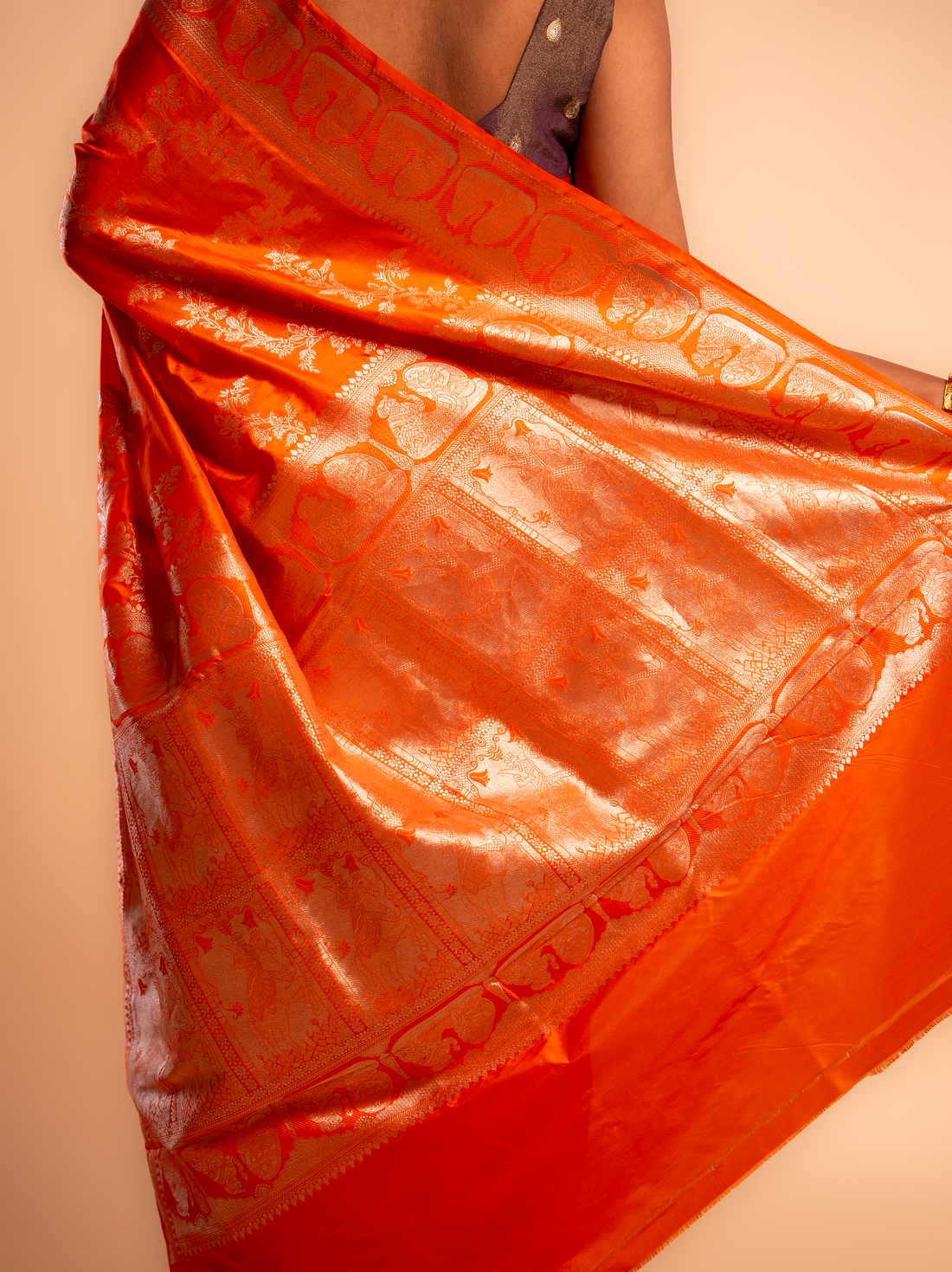 Ranjani – The Radiant Allure