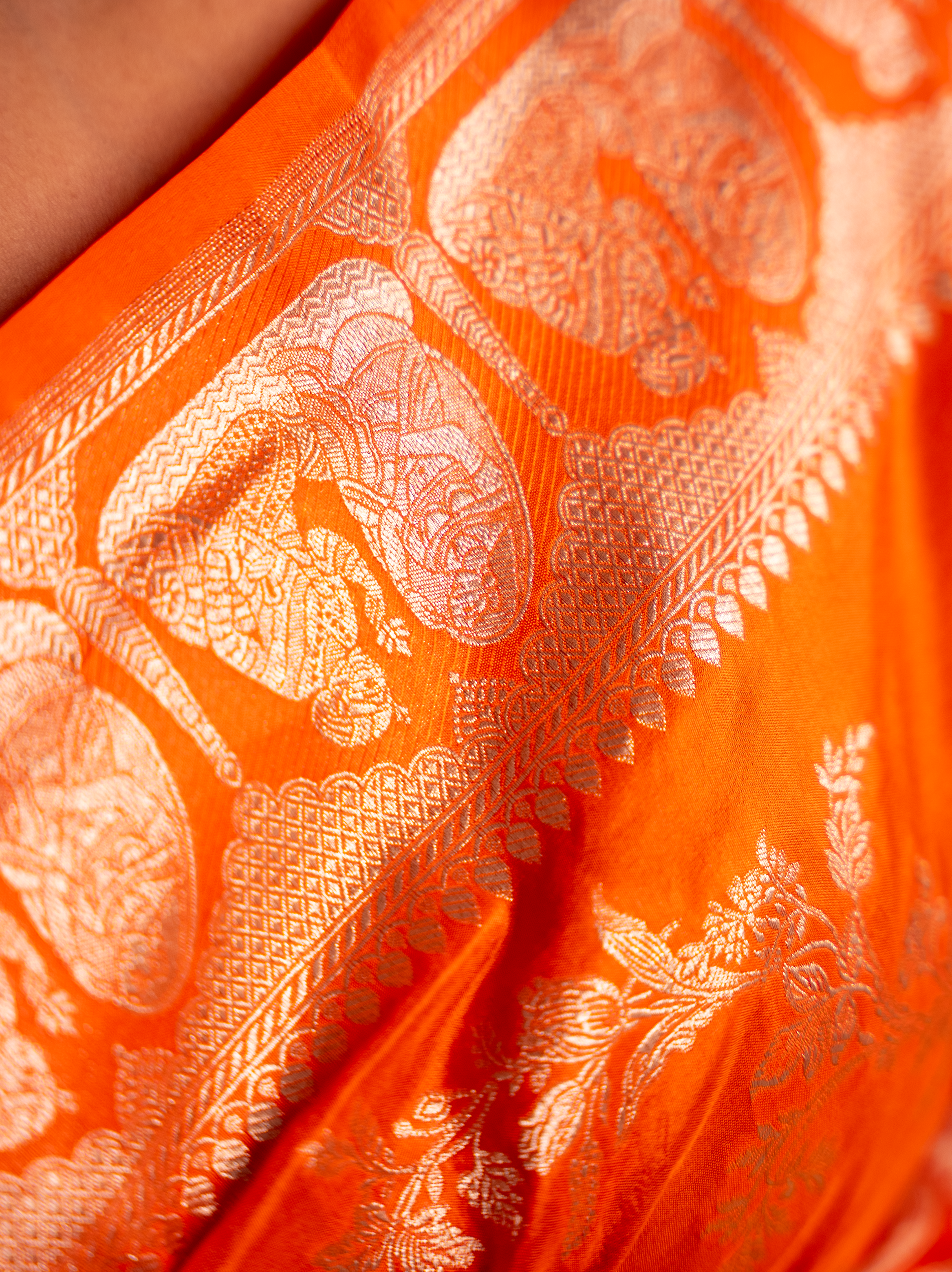 Ranjani – The Radiant Allure
