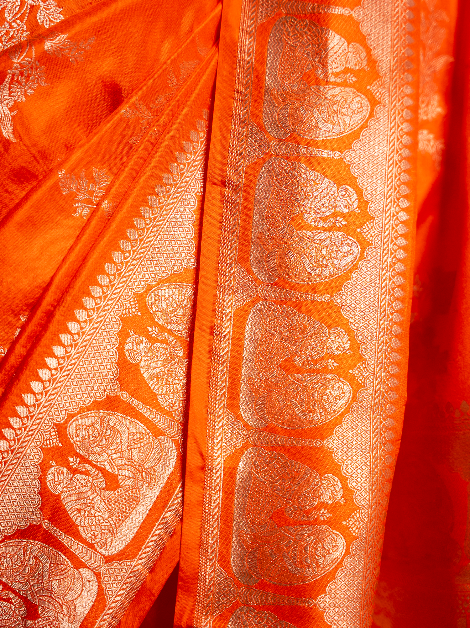 Ranjani – The Radiant Allure