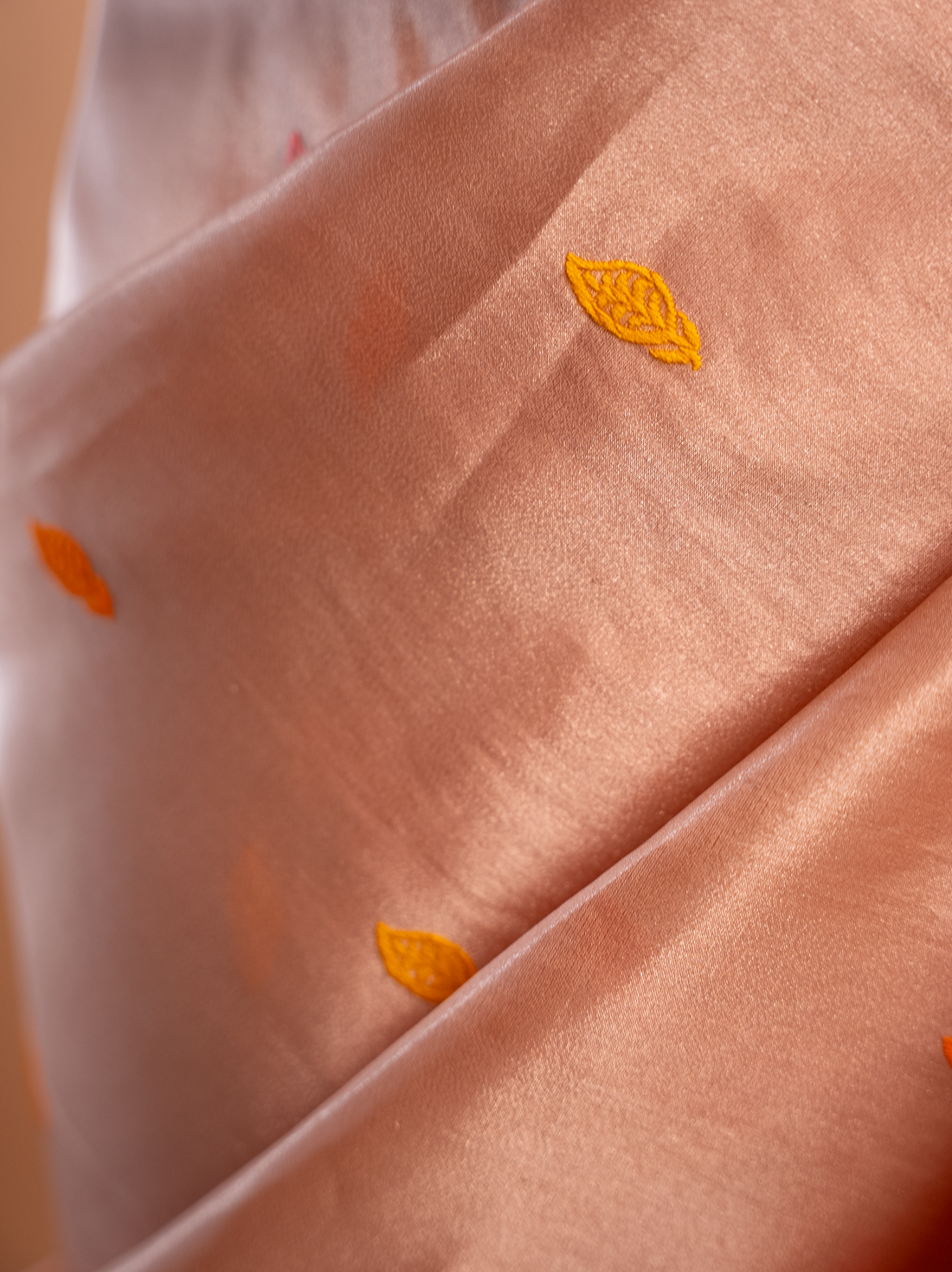 Shubhra – The Luminous Elegance