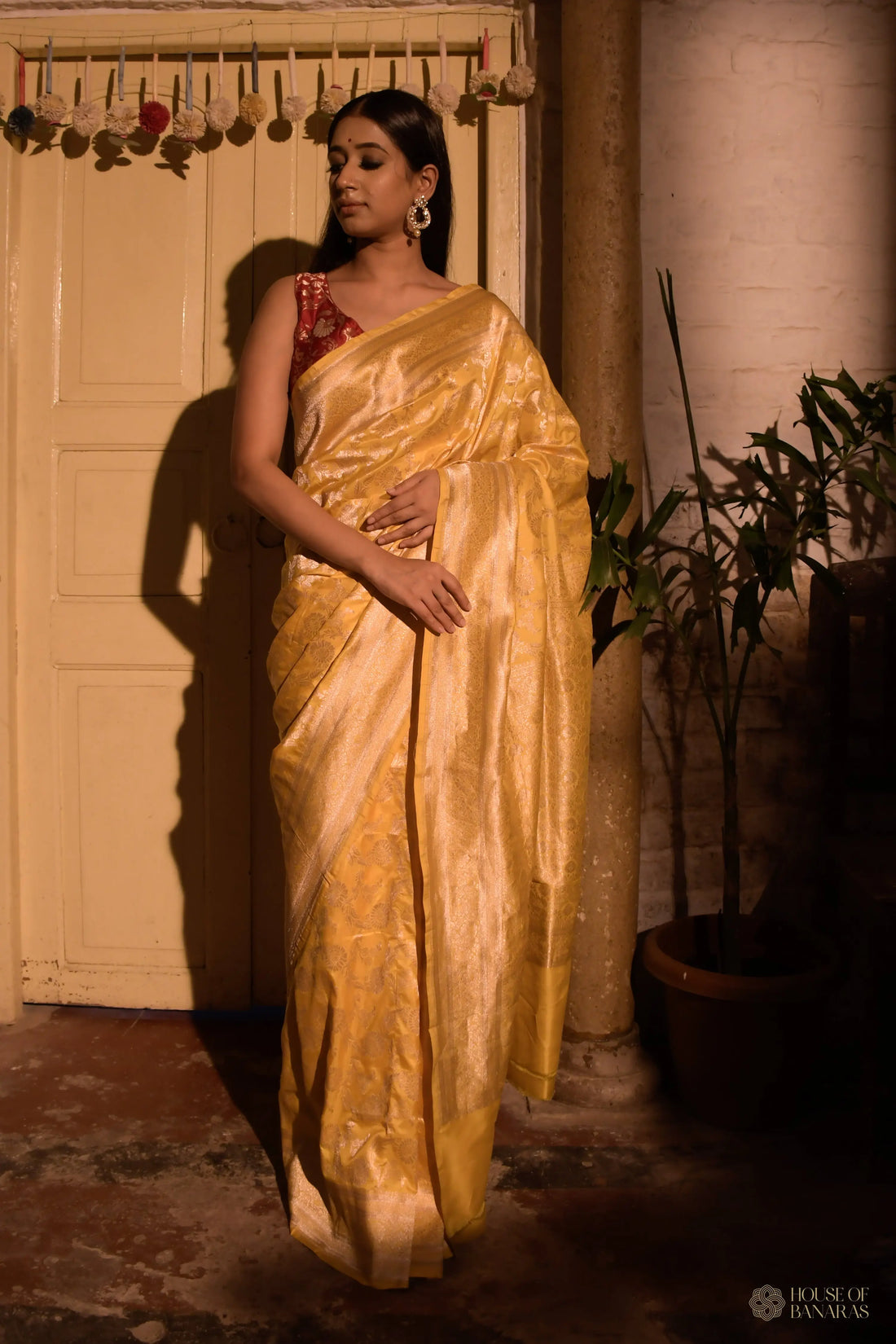 Aamrawati - The Sunshine Serenade