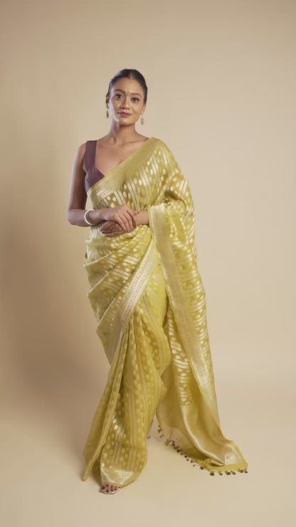 Aaditi - The Enchanting Elegance