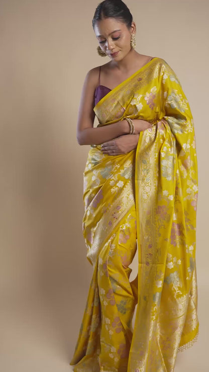 Chandrika – The Radiant Symphony