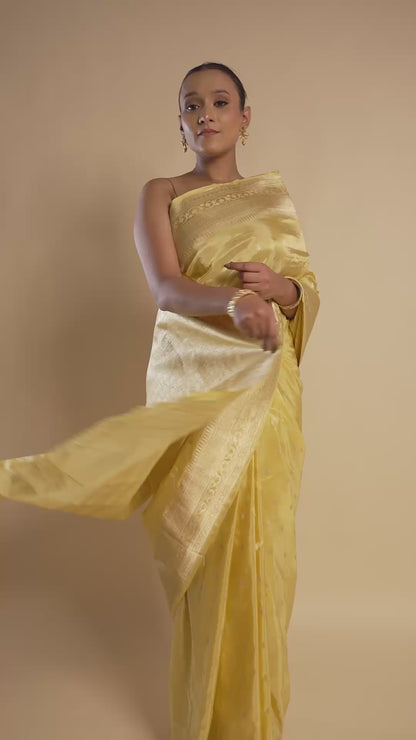 Navya – The Timeless Enchantress