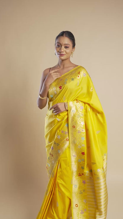 Sundara – The Radiant Allure